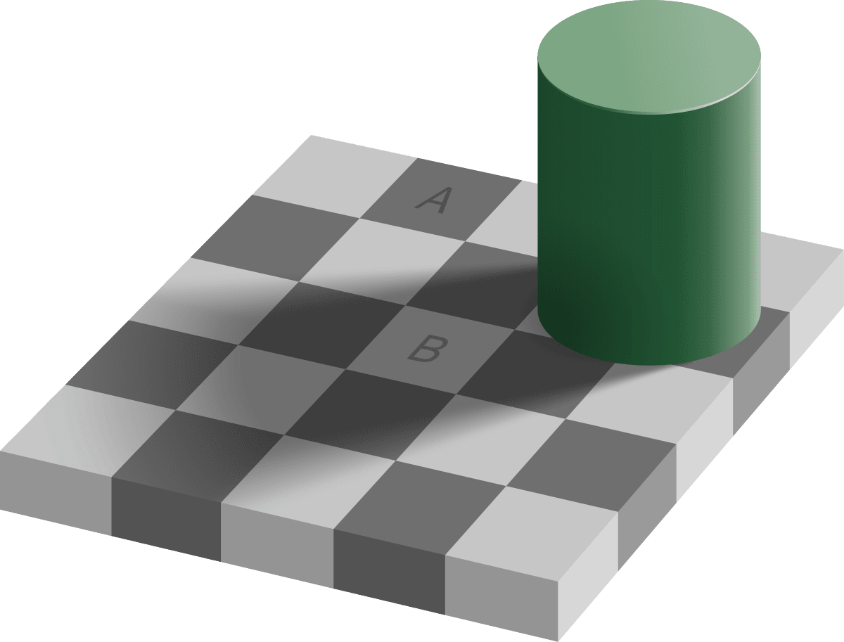 Checker shadow illusion - Hvad er smerte? - Smertefribevægelse