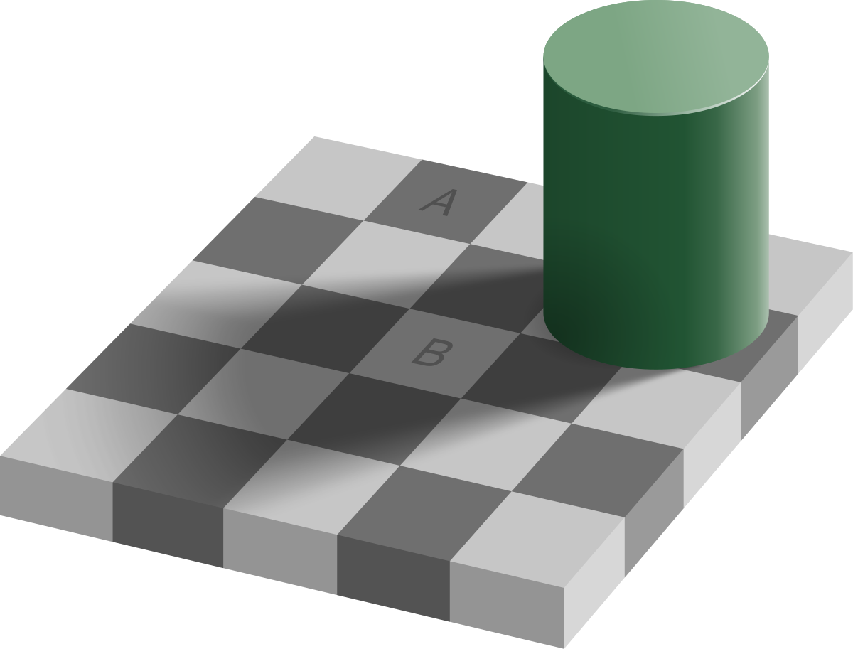 Checker shadow illusion - Hvad er smerte? - Smertefribevægelse