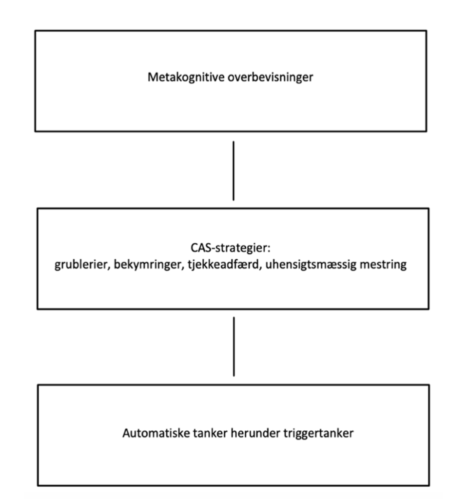 Skaermbillede 2023 10 04 kl. 15.11.18 - Metakognitiv terapi: Behandling af kroniske smerter - Smertefribevægelse