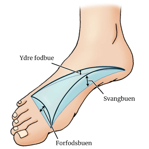 Et billedet af en fod der viser de forskellige fodbuer