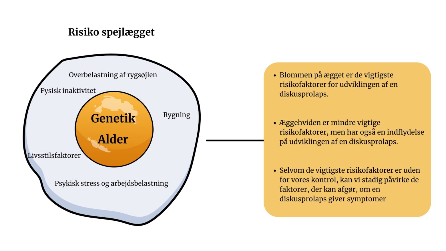 De forskellige risiko faktorer i forbindelsen med diskusprolaps. Afbilledet i form af et spejlæg