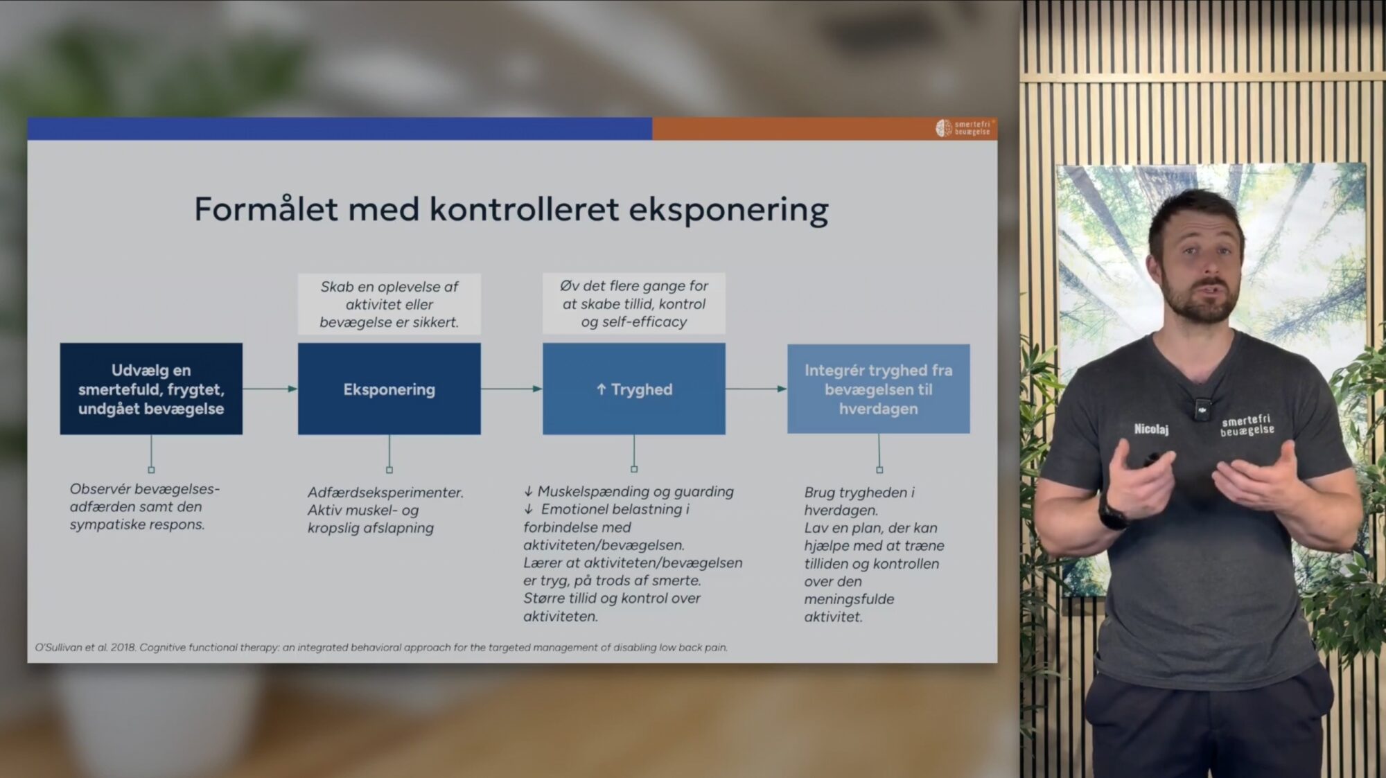 Alle elementer i CFT gennemgåes skridt for skridt.
